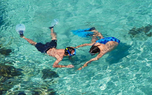 Snorkelers exploring clear waters on Baunei Coast boat tour.