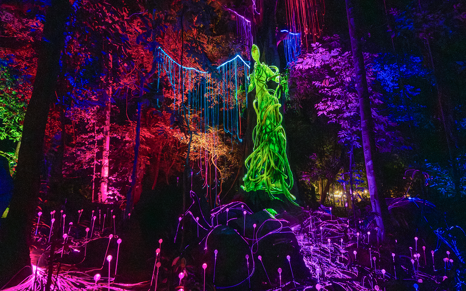 Langkawi Dream Forest night walk with colorful illuminated trees and glowing sculptures.