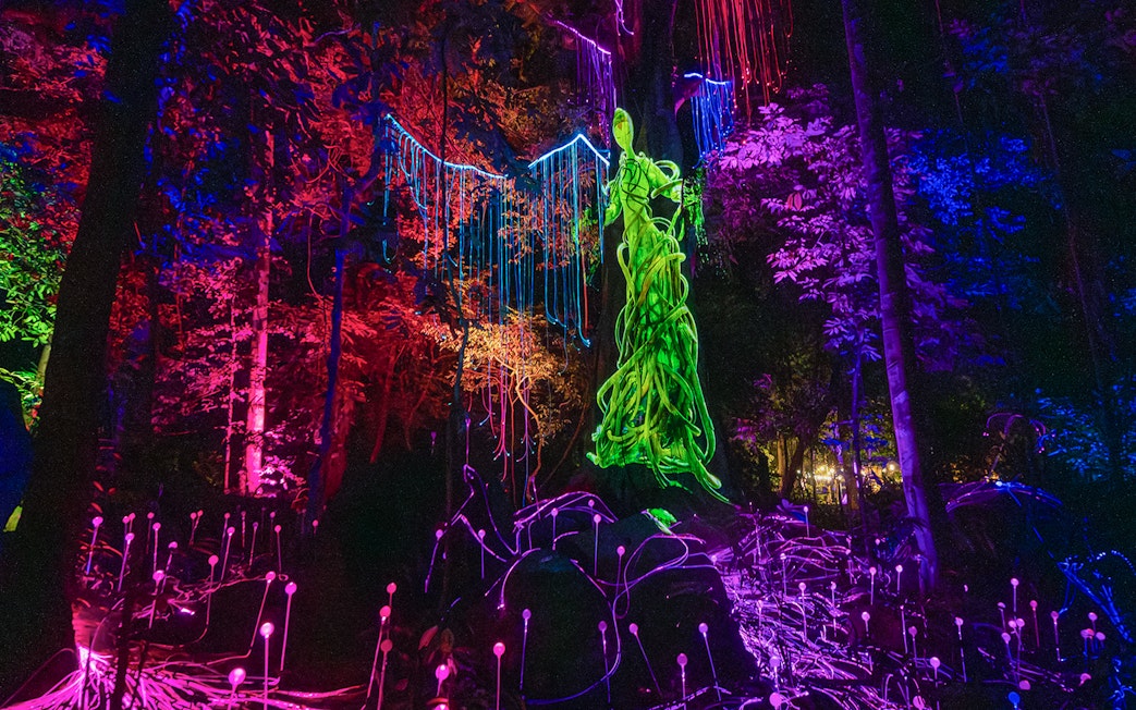 Langkawi Dream Forest night walk with colorful illuminated trees and glowing sculptures.