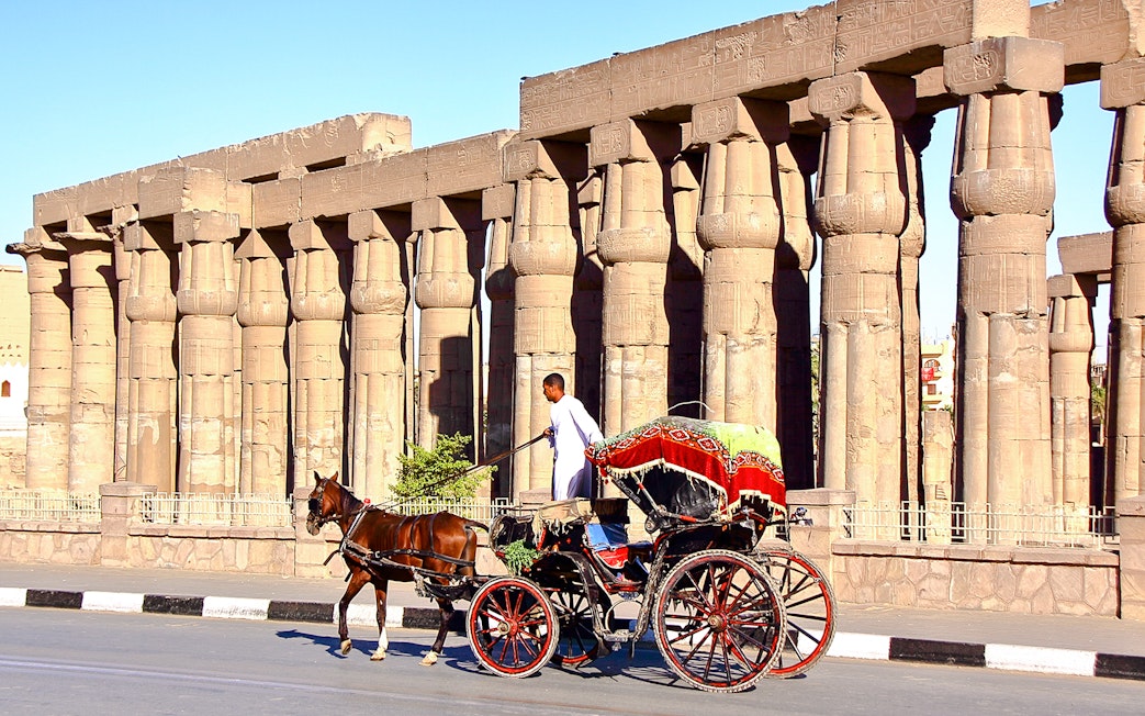 Horse-drawn carriage passing Luxor Temple columns in Egypt.