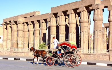 Horse-drawn carriage passing Luxor Temple columns in Egypt.