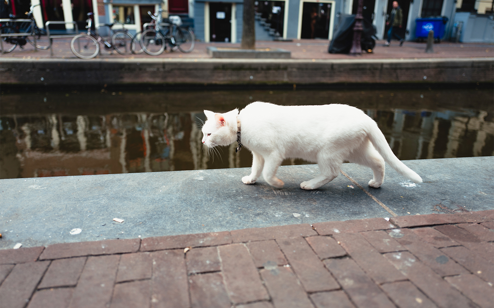 Poezenboot cat sanctuary houseboat on Amsterdam canal.