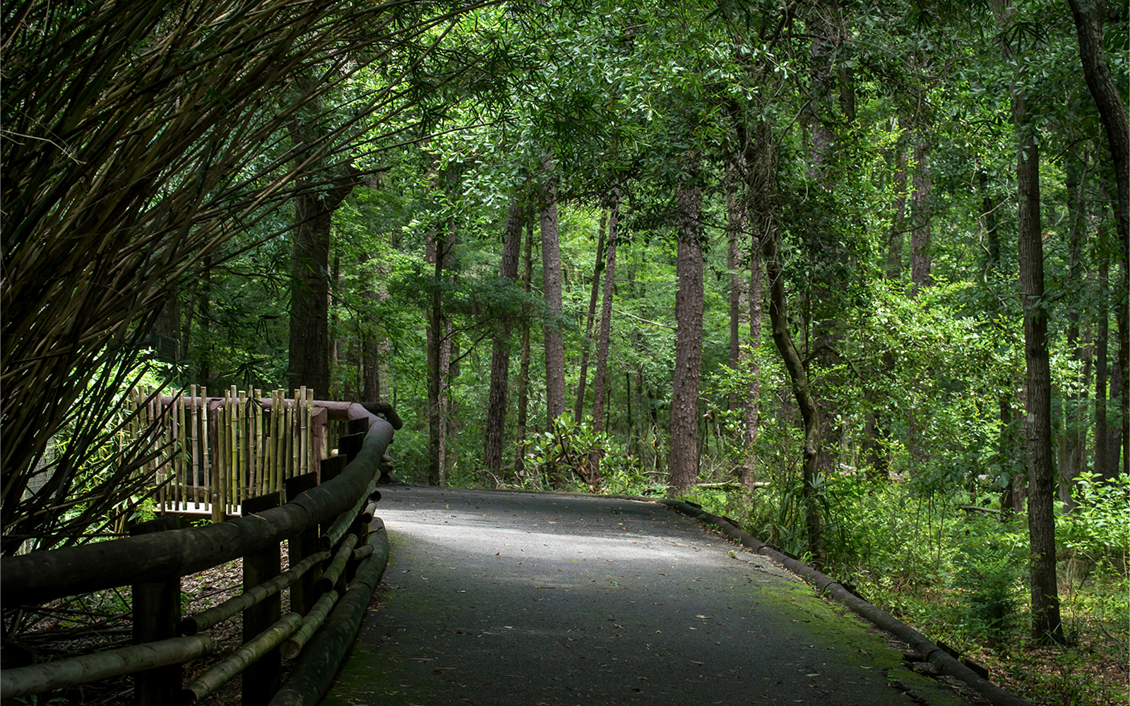 Alpine Zoo, Innsbruck.