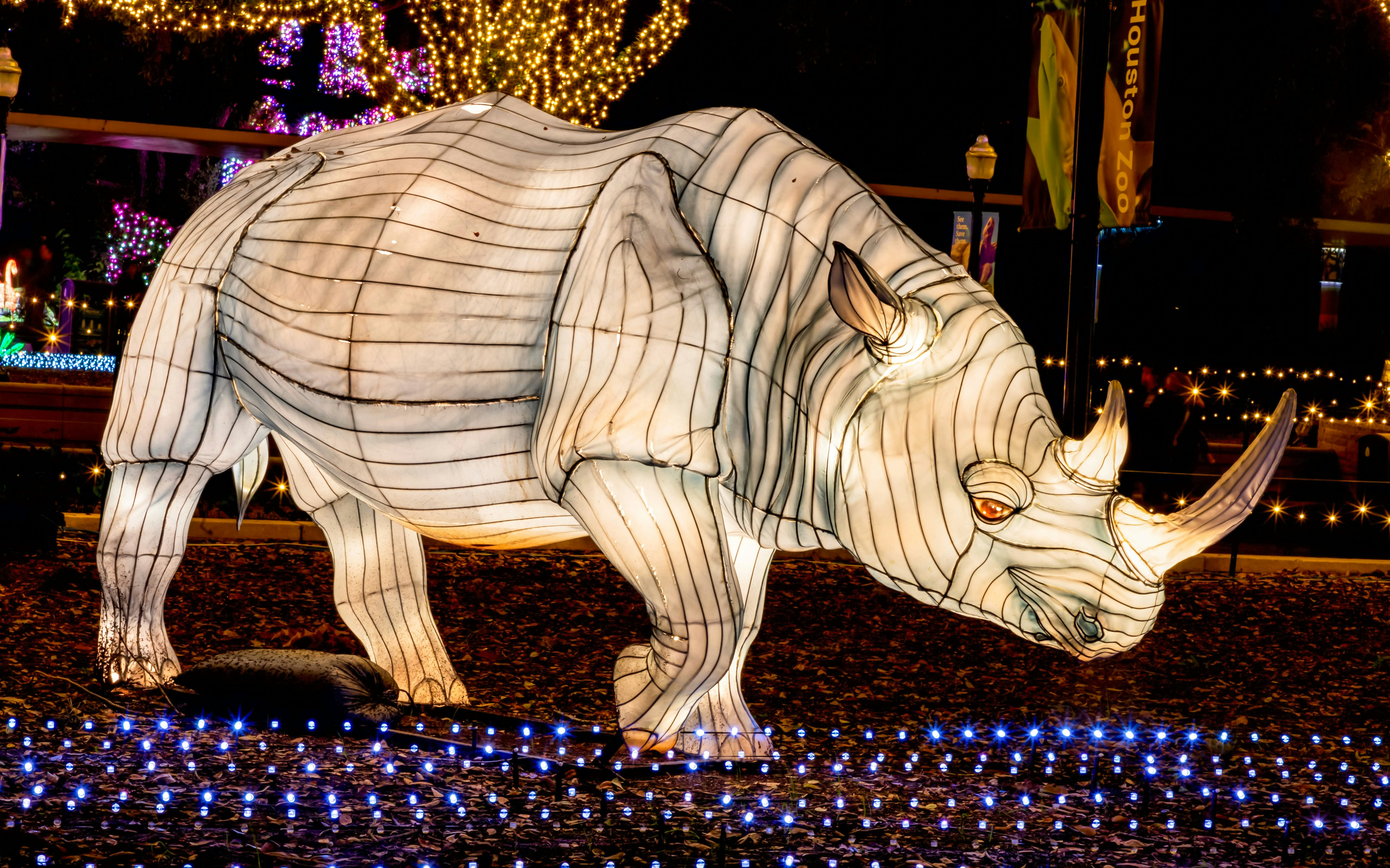 Rhino lantern display with Christmas lights at Houston Zoo.