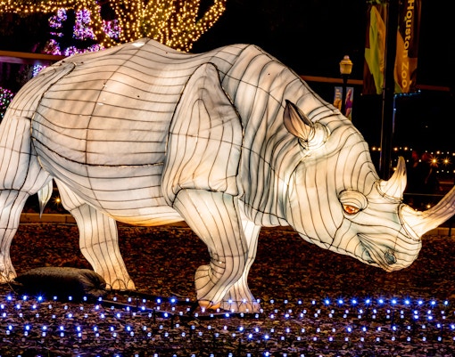 Rhino lantern display with Christmas lights at Houston Zoo.