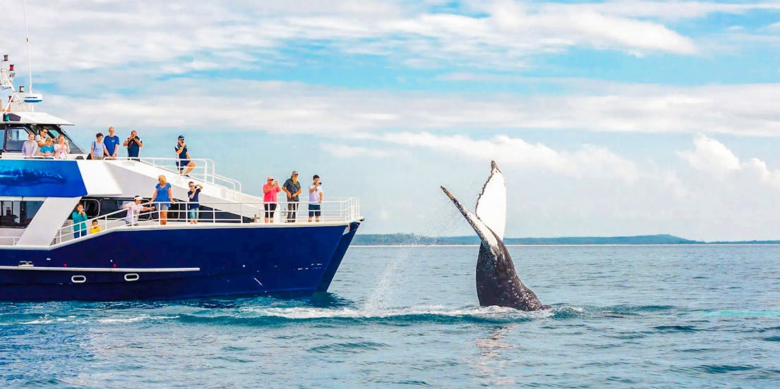 Hervey Bay nach Fraser Island