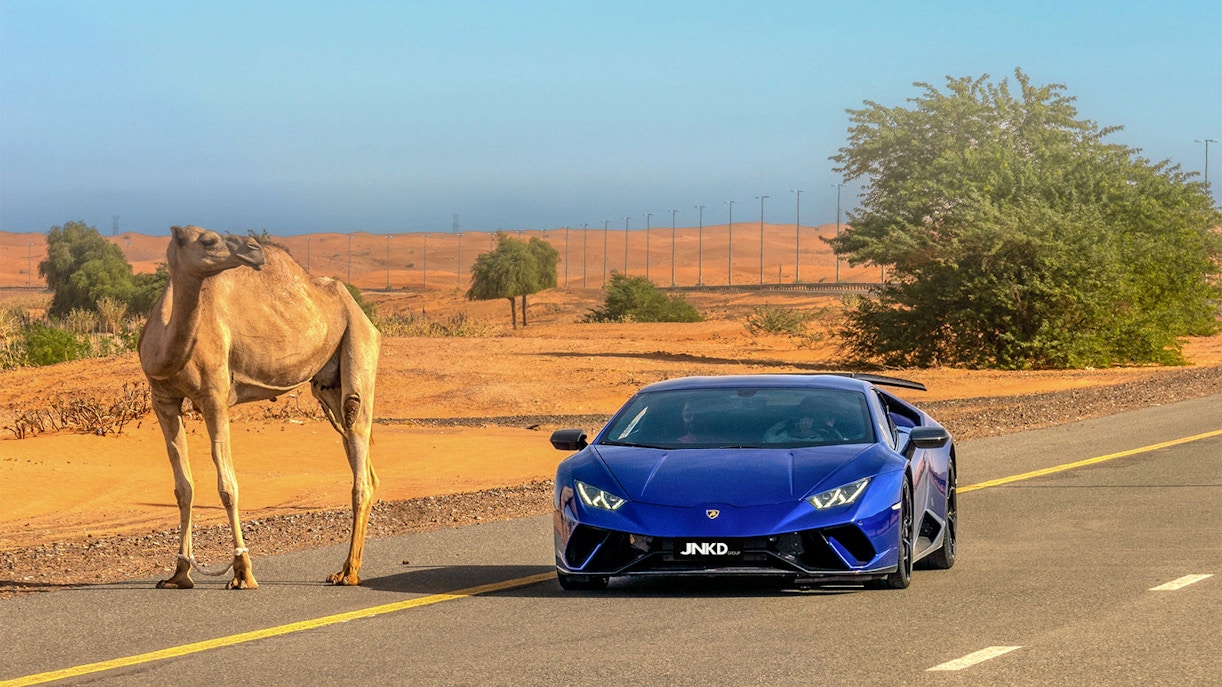 Green Planet Dubai