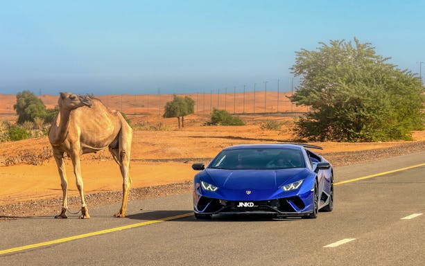 Supercar driving on desert road with camel nearby, JNKD tour experience.