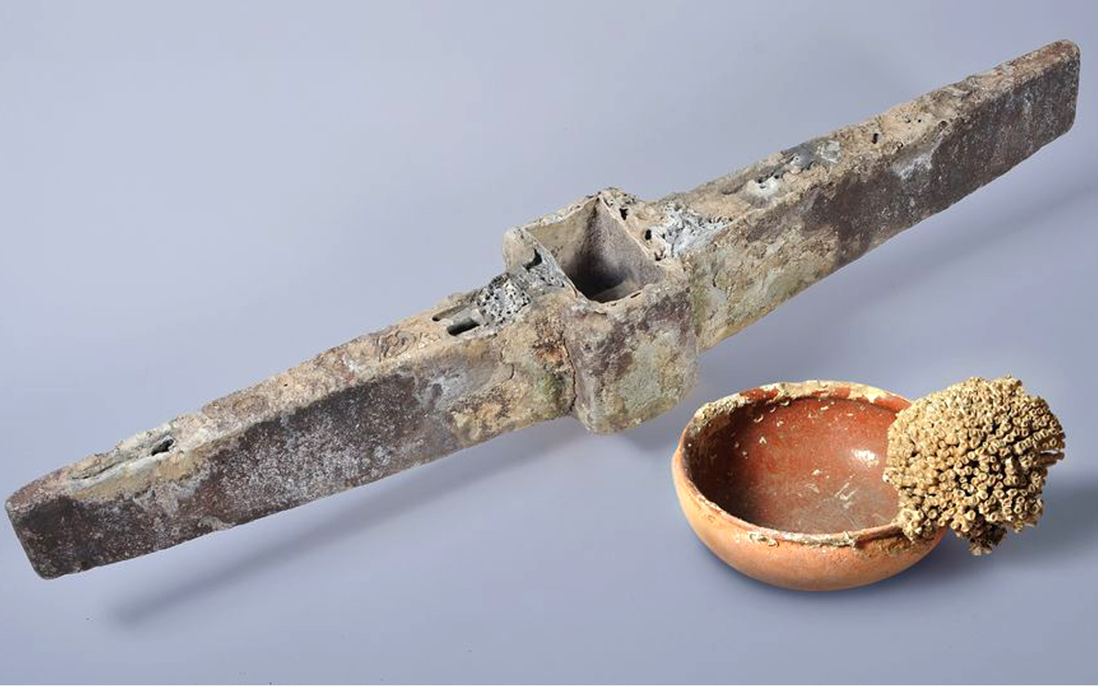 Kunsthistorisches Museum exhibitions