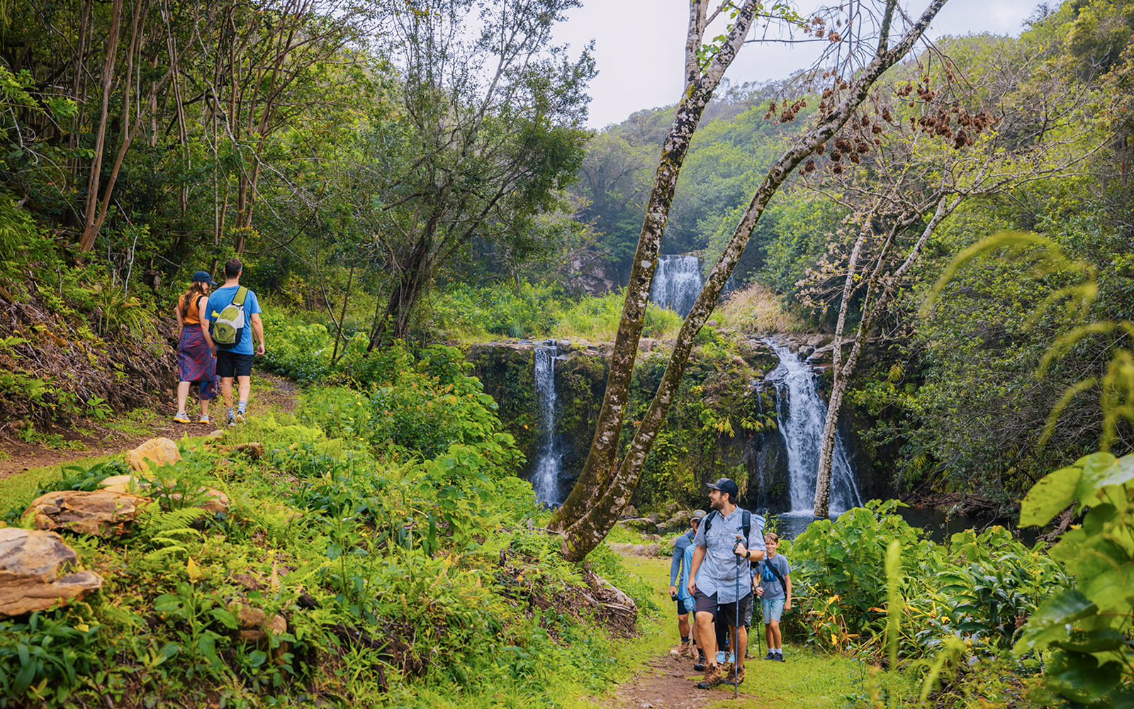 Guests hiking near Kohala Waterfalls in lush forest, Hawaii.