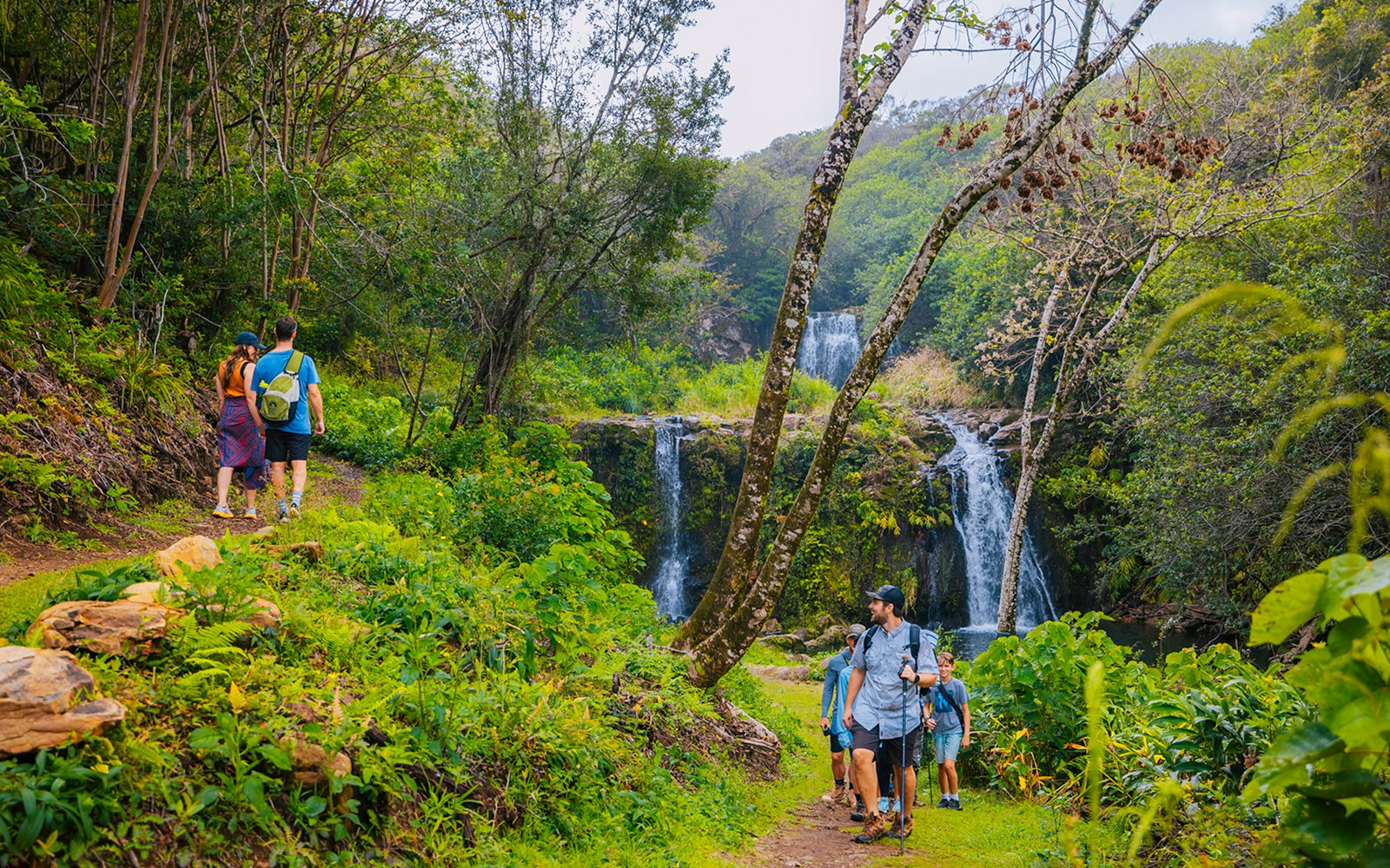 Guests hiking near Kohala Waterfalls in lush forest, Hawaii.
