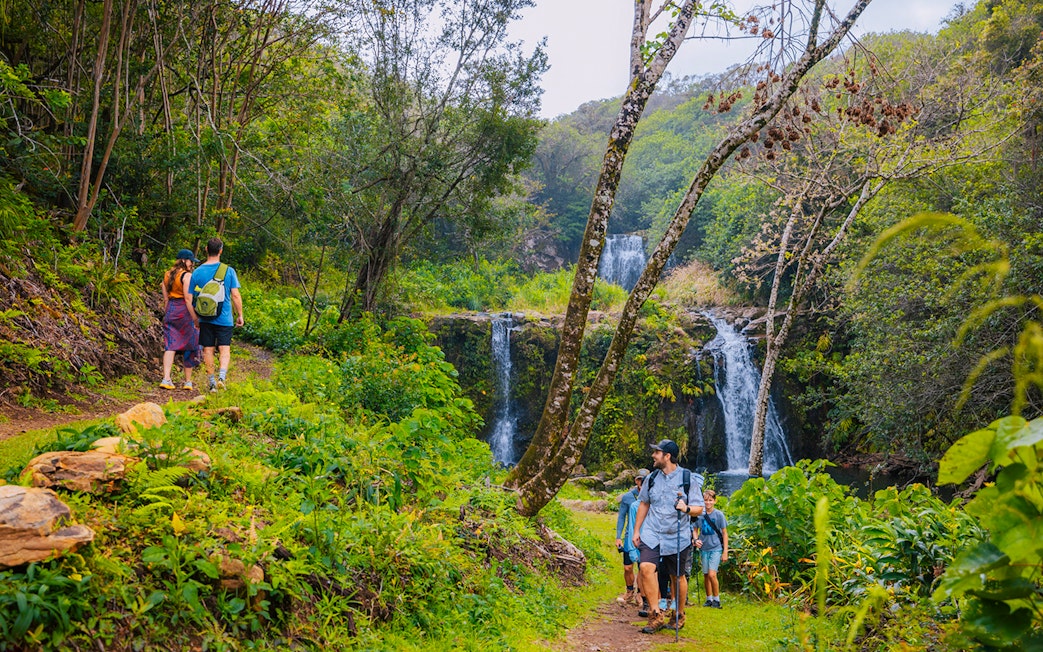Guests hiking near Kohala Waterfalls in lush forest, Hawaii.