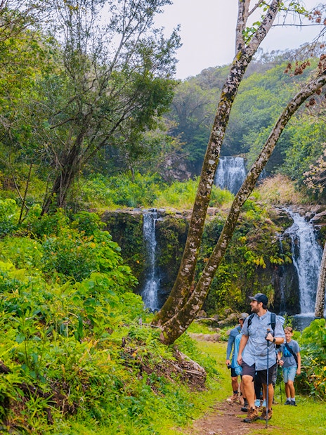 Guests hiking near Kohala Waterfalls in lush forest, Hawaii.