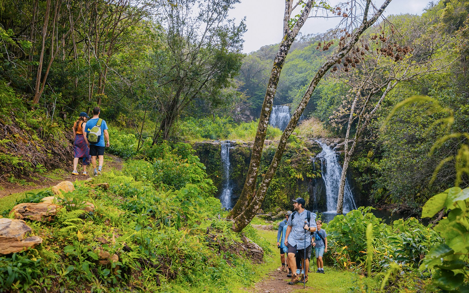 Guests hiking near Kohala Waterfalls in lush forest, Hawaii.