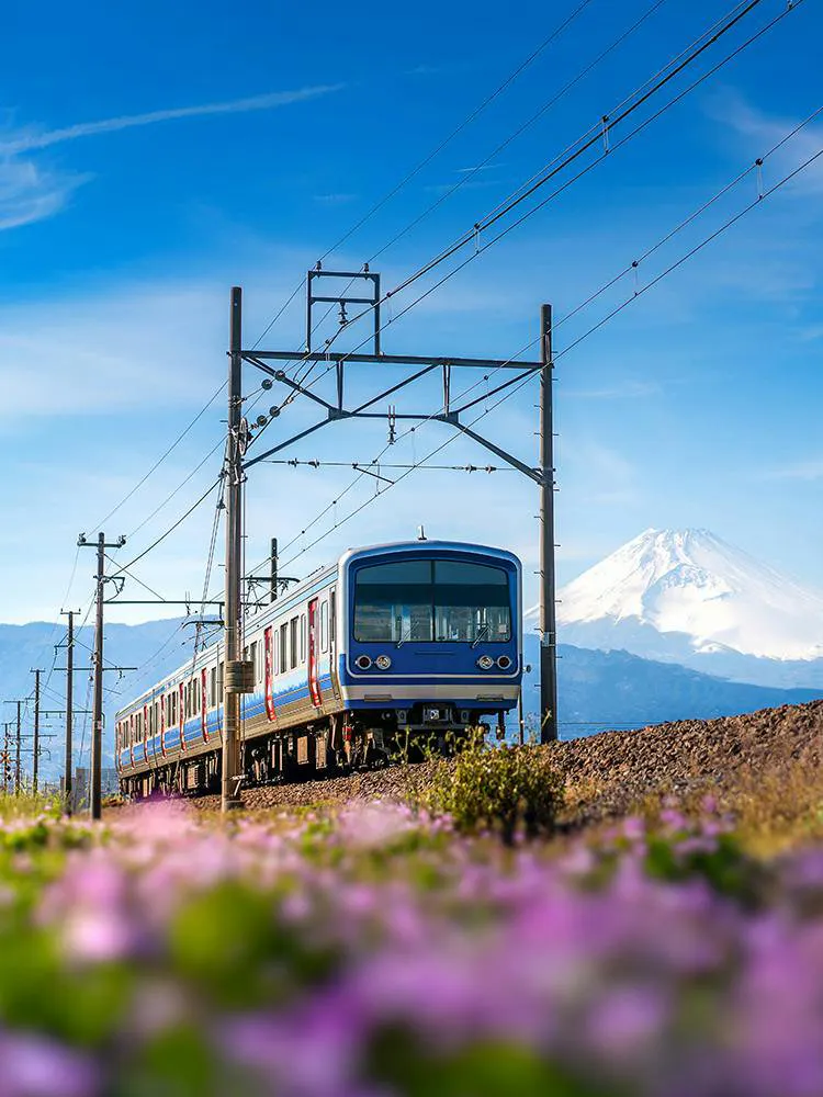Train traveling with Mt. Fuji in the background, Japan.