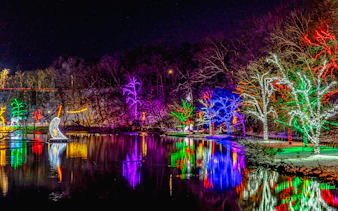 Colorful lights illuminate trees along a river at the Niagara Festival of Lights Tour.