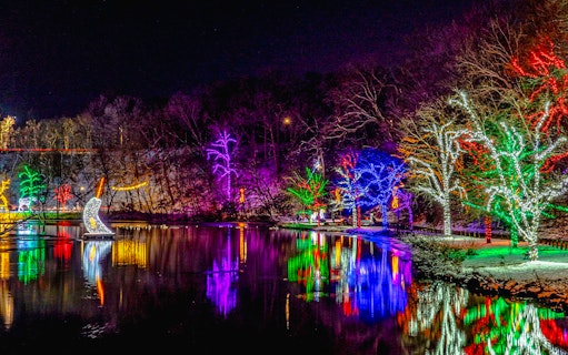 Colorful lights illuminate trees along a river at the Niagara Festival of Lights Tour.