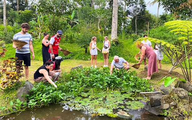Participants harvesting plants at a Bali farm cooking class.