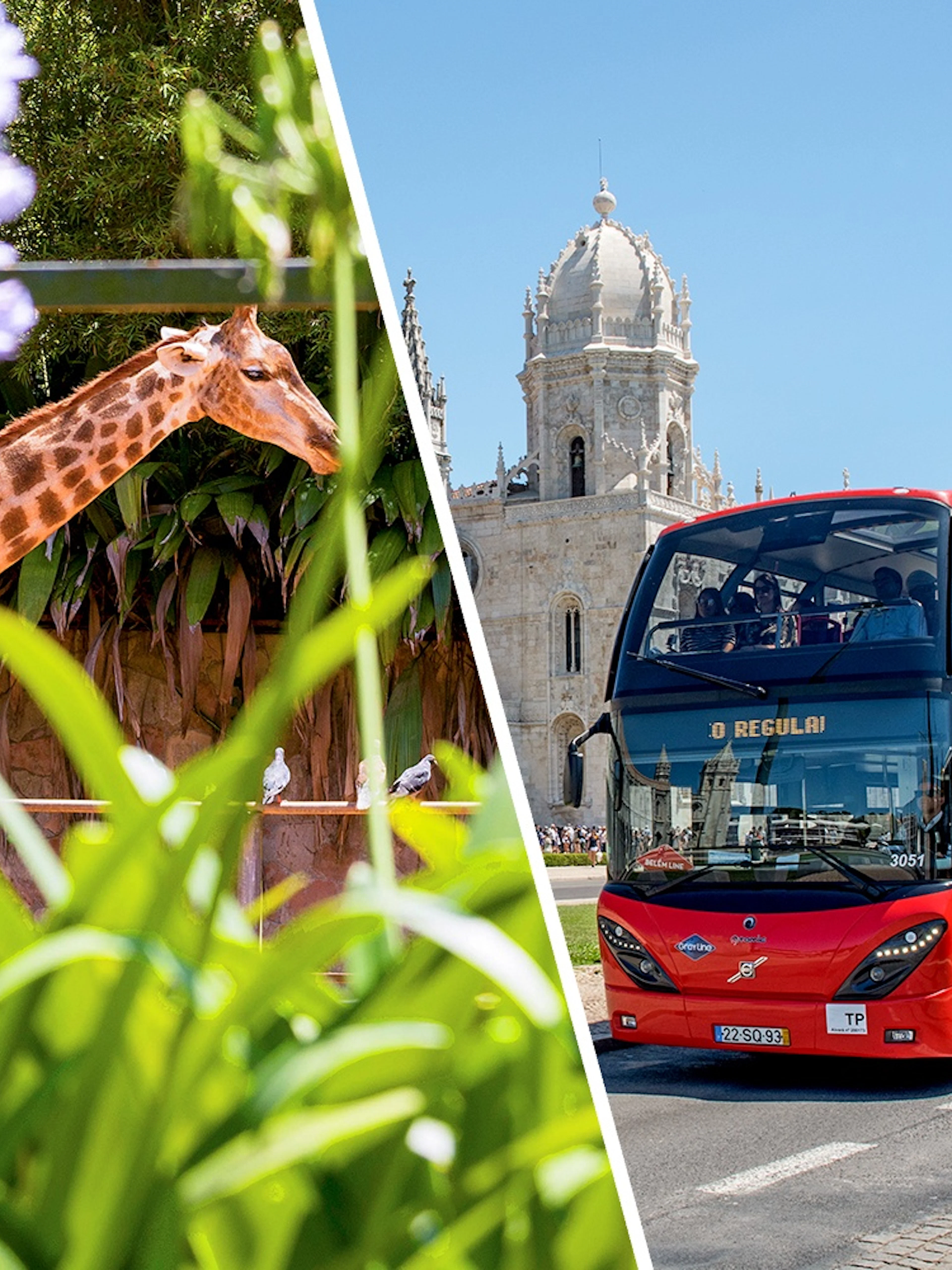 Red double-decker bus near Jerónimos Monastery, Lisbon.