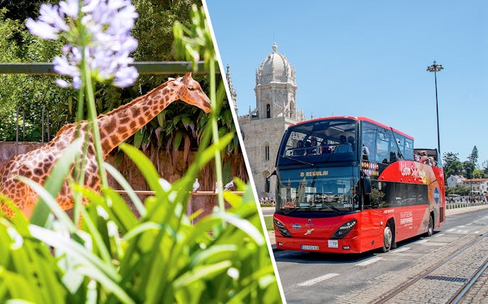 Red double-decker bus near Jerónimos Monastery, Lisbon.