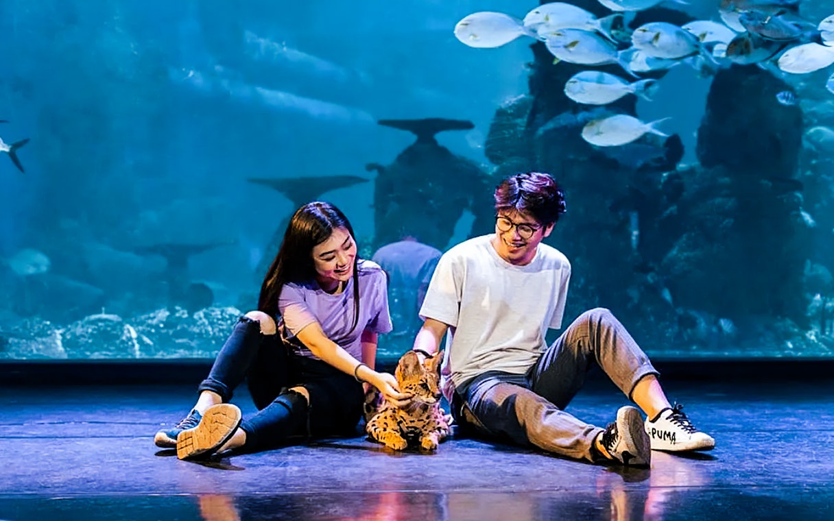 Couple interacting with a serval at Jakarta Aquarium Safari.