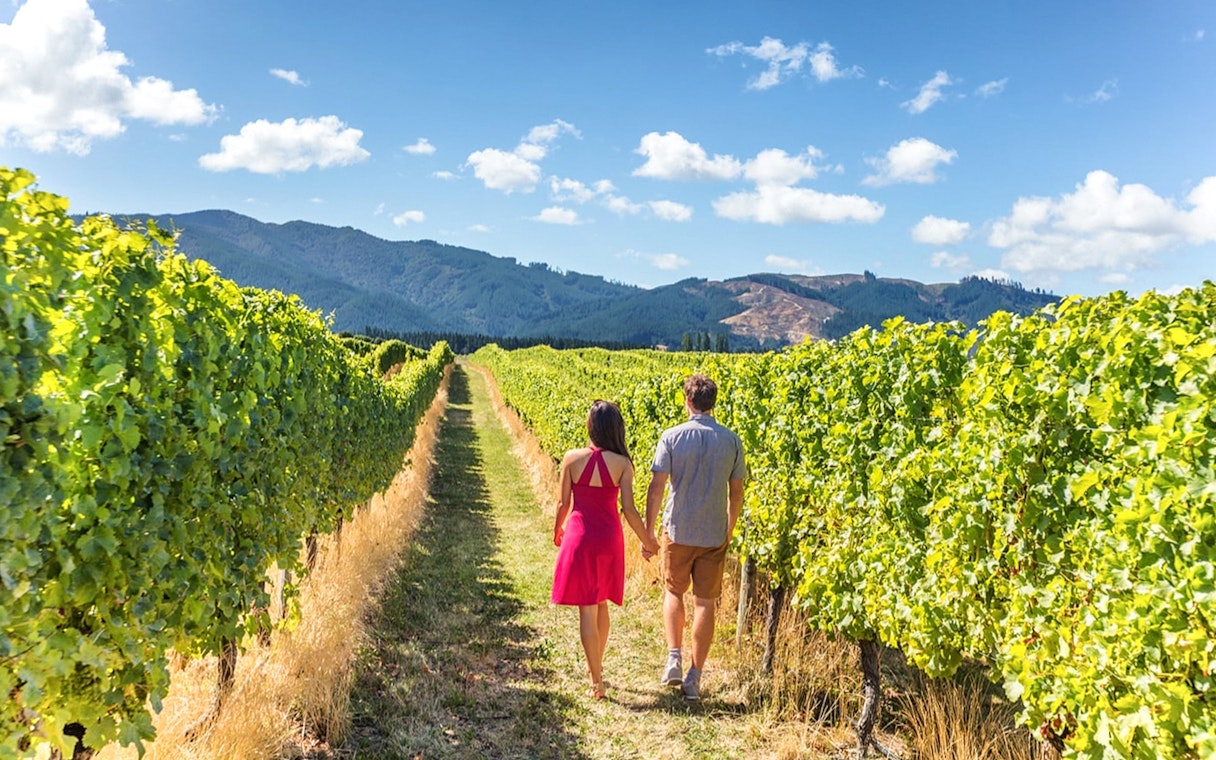 Visitors walking through vineyard in Napa-Sonoma Wine Country.