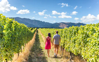 Visitors walking through vineyard in Napa-Sonoma Wine Country.