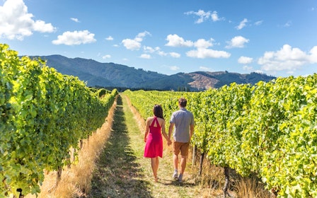 From San Francisco: Alcatraz, Aquarium of the Bay, & Napa/Sonoma Wine Country 2-Day Trip