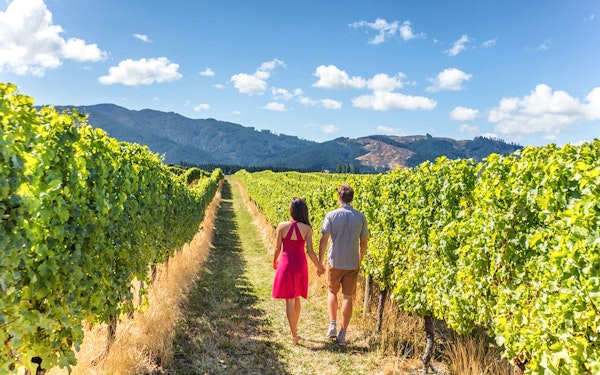 From San Francisco: Alcatraz, Aquarium of the Bay, & Napa/Sonoma Wine Country 2-Day Trip
