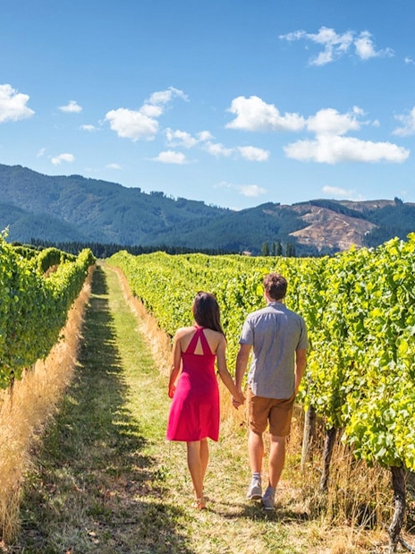 Visitors walking through vineyard in Napa-Sonoma Wine Country.