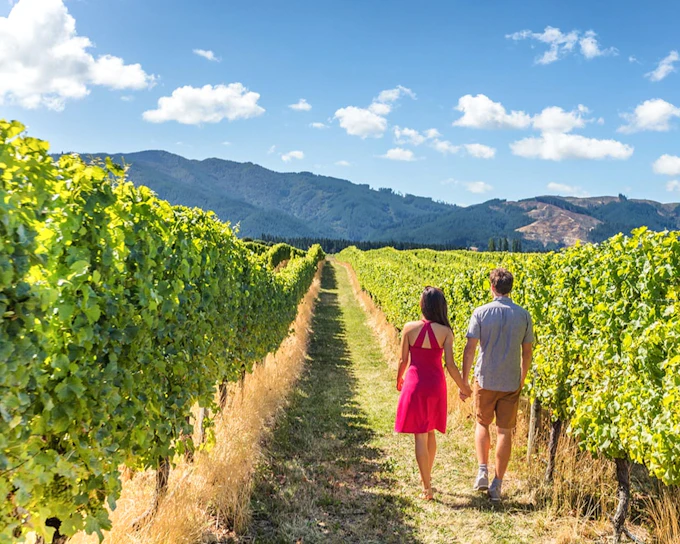 From San Francisco: Alcatraz, Aquarium of the Bay, & Napa/Sonoma Wine Country 2-Day Trip