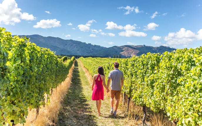 Visitors walking through vineyard in Napa-Sonoma Wine Country.