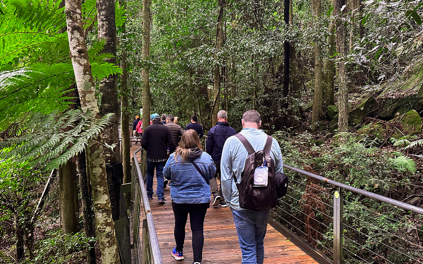 Visitors walking on a boardwalk through lush forest in Blue Mountains, Australia.