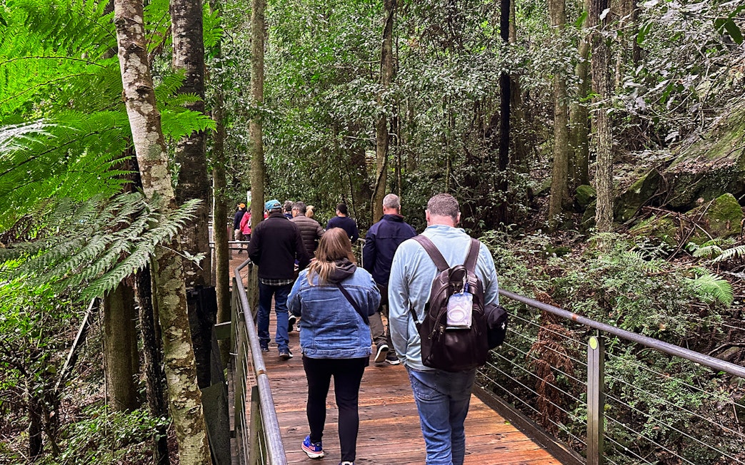 Visitors walking on a boardwalk through lush forest in Blue Mountains, Australia.