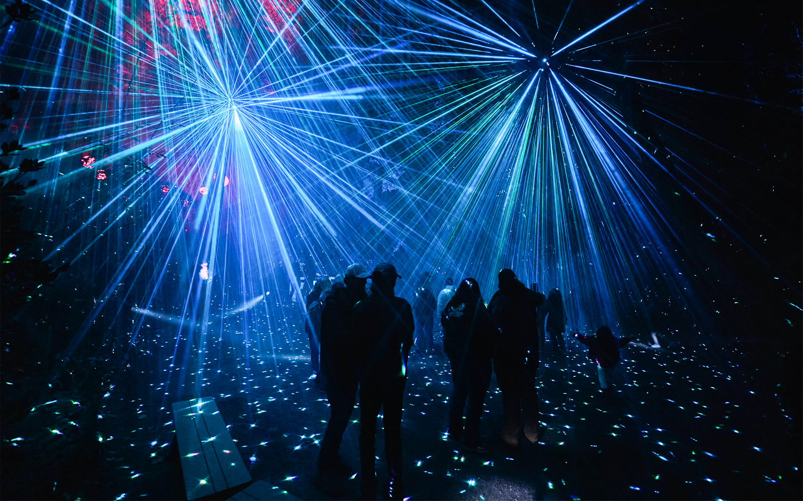 Visitors enjoying light show at Astra Lumina, Currumbin Wildlife Sanctuary.