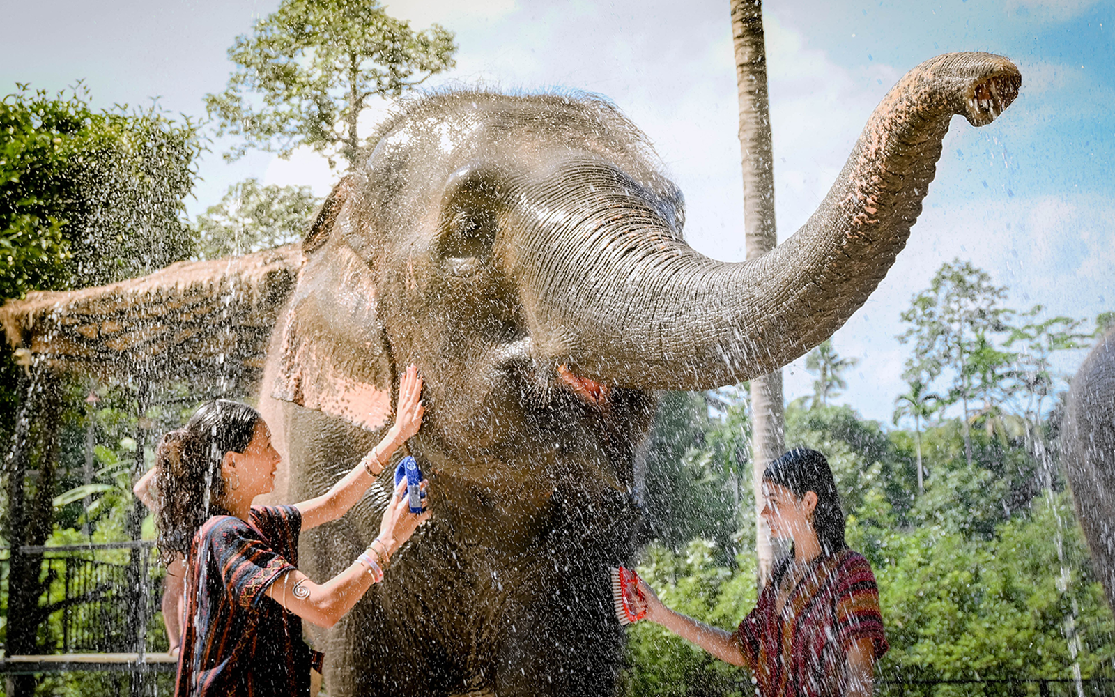 Elephant being bathed by visitors at Elephant Jungle Sanctuary Samui.