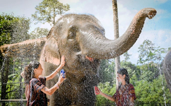 Elephant being bathed by visitors at Elephant Jungle Sanctuary Samui.