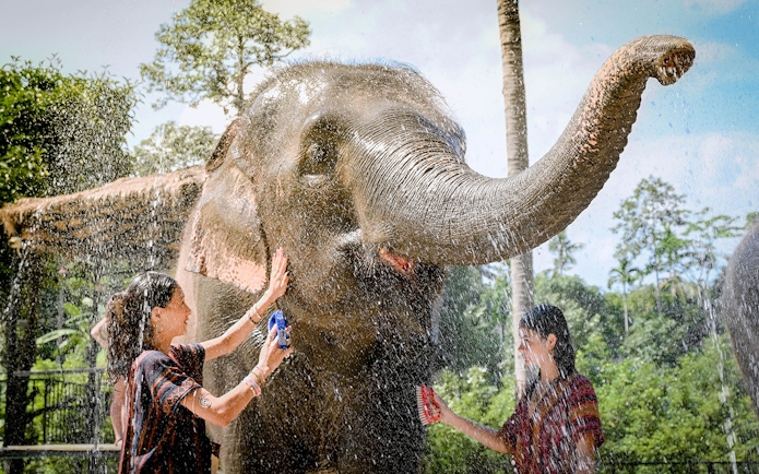 Elephant being bathed by visitors at Elephant Jungle Sanctuary Samui.
