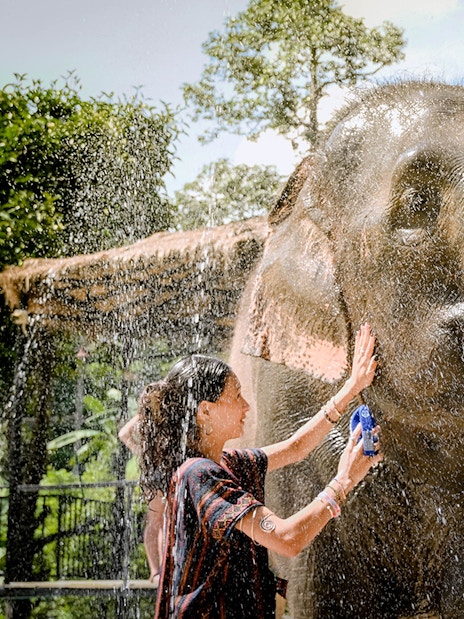 Elephant being bathed by visitors at Elephant Jungle Sanctuary Samui.