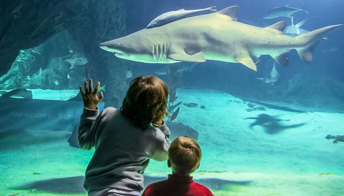 children observing aquatic life at zoo aquarium madrid