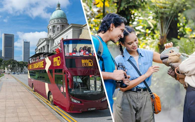 Singapore Hop-On-Hop-Off bus near National Gallery with city skyline in background.