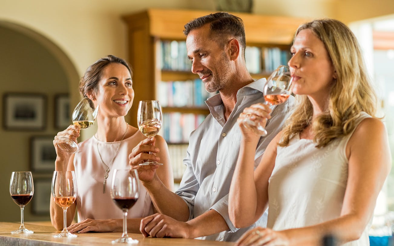 Friends enjoying wine tasting at Cotes de Provence, Cezanne Countryside.