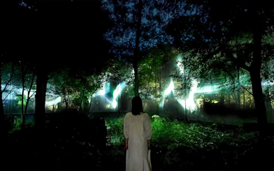 Visitor observing illuminated art installation at TeamLab Botanical Garden.