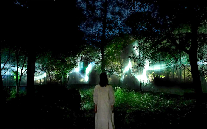 Visitor observing illuminated art installation at TeamLab Botanical Garden.