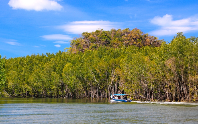 Speedboat navigating through mangroves on Langkawi Island Hopping Tour.