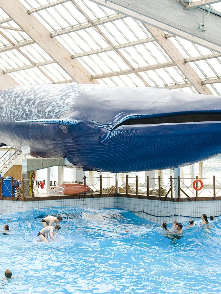 9cea84bd-31e6-11ee-a35f-0a791347a7af-hero