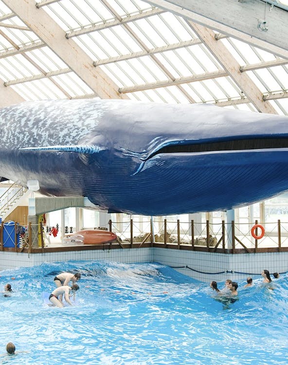 9cea84bd-31e6-11ee-a35f-0a791347a7af-hero