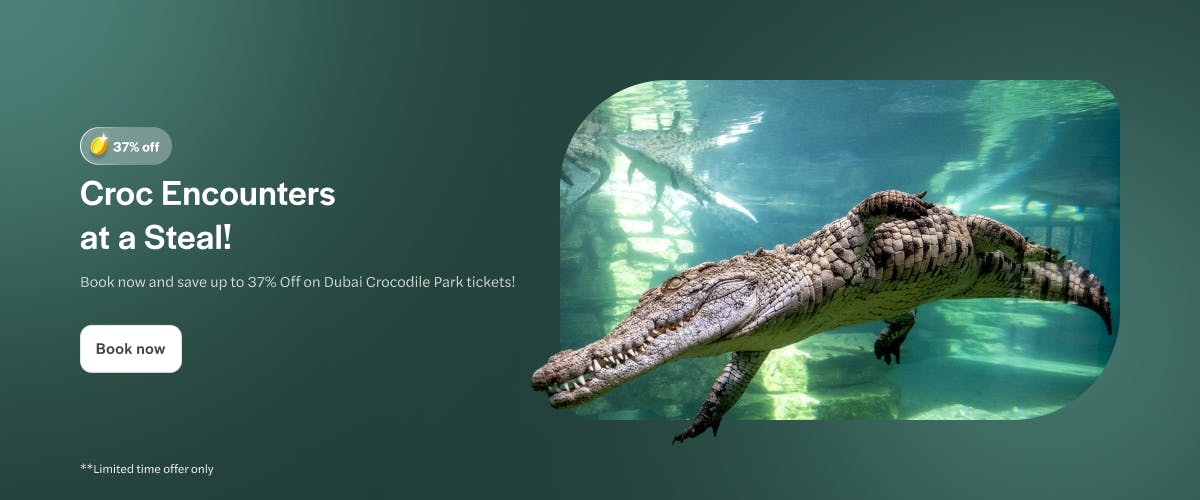 Crocodile swimming underwater at Dubai Crocodile Park.