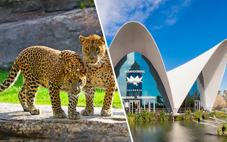 Combo: Bioparc Valencia Tickets + Oceanographic Tickets