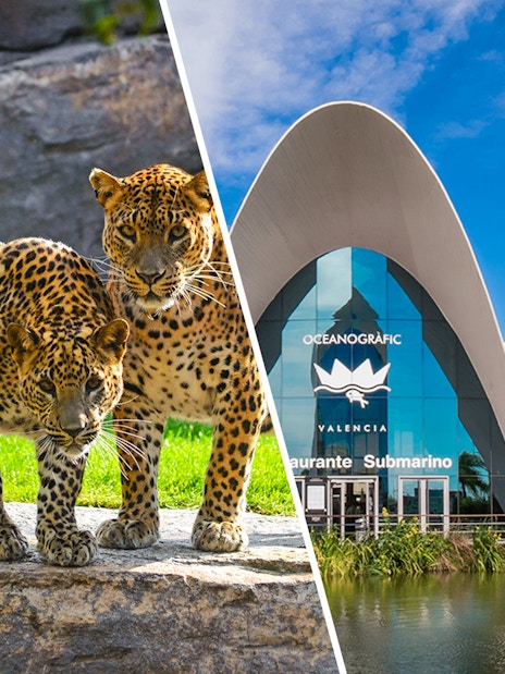 Leopards at Bioparc and Oceanogràfic entrance in Valencia, Spain.